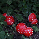 Simulatie rode paddenstoel landschapsdecoratie hars rode pad