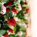 2 Stuks Klimop Slinger - Scharlaken Wijnstokken