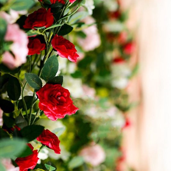 2 Stuks Klimop Slinger - Scharlaken Wijnstokken