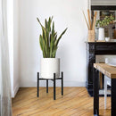 Verstelbaar Plantenrek 24-36 cm - Duurzaam Zwart