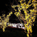 Xtraworks - Ginkgo Blad Lichtslinger 2 meter