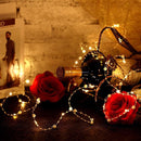 Xtraworks -lichtsnoer met parels- Decoratieve lichtsnoer -we