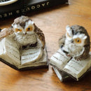 ProductAsset