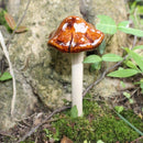 Unikorf Keramische paddenstoelen Set4 Geel/Rood/Groen/Blauw