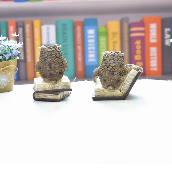 Uil Ornament Hars Lezende Uil - Desktop Decoratie - Gedetailleerd Ontwerp