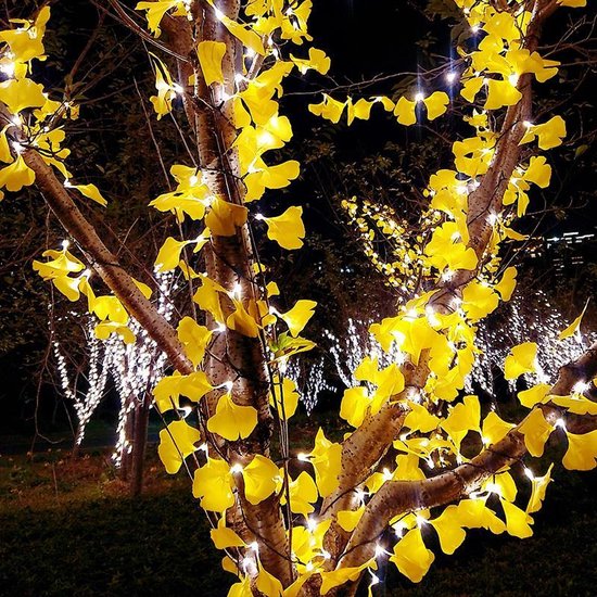 Xtraworks - Ginkgo Blad Lichtslinger 2 meter