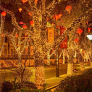 Lichtsnoer buiten 10 m - 80 warm-witte lampjes, USB