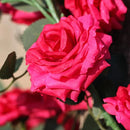 2 Stuks Klimop Slinger - Scharlaken Wijnstokken