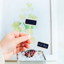 50 Stuks Krijtbord met Paaltje voor Tuin en Horeca - Zwart