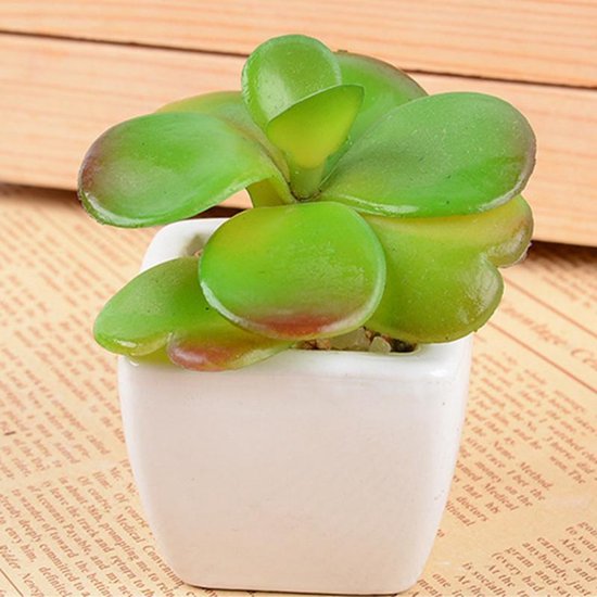 TDR -  6x kunst vetplantjes - Succulenten - Mini kamerplanten - in mooie gevormde witte keramieken potjes - ↑8 cm -Ø 6.6 cm