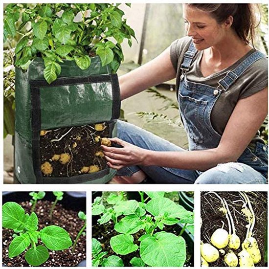 2x Aardappelplantzak met Luchtcirculatie 35x50cm Groen