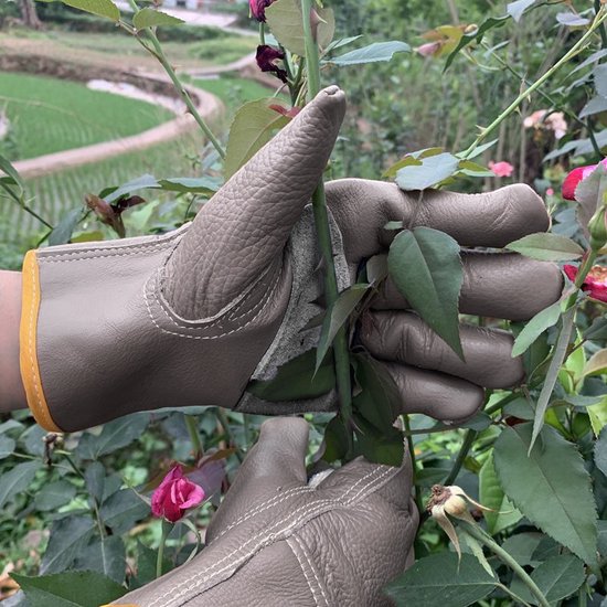 Steekwerende Tuinhandschoenen van Koeienleer – Korte Handschoen (25 cm)