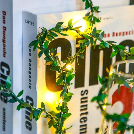 LED lichtsnoer kersenbloesem groen 3m 30 lampjes batterij