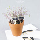 ProductAsset
