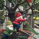 Kabouters die de trap beklimmen - Buiten- en binnendecoratie