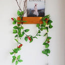 ProductAsset