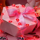 Xtraworks -Valentijnsdag decoratie -Rood Hart Liefde Licht Snoer- Fairy Lights-2 Meter 20 Lichten met Afstandsbediening