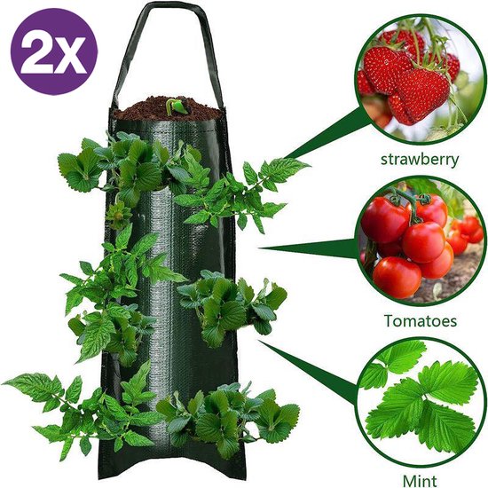 Hangende Aardbeienzakjes Groen - 2 Stuks - 10 Poorten