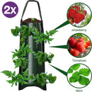 Hangende Aardbeienzakjes Groen - 2 Stuks - 10 Poorten