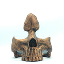 brillenstandaard - brillenhouder -schedel-Goud