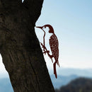 Realistische Metalen Specht Boomhanger - Tuindecoratie Zwart