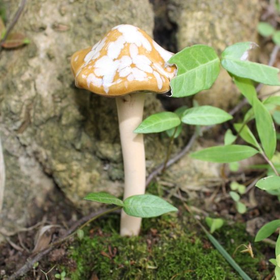 Unikorf Keramische paddenstoelen Set4 Geel/Rood/Groen/Blauw