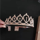 TDR - Verjaardag Sjerp en Tiara - Met text "Birthday  Girl "  rose goud