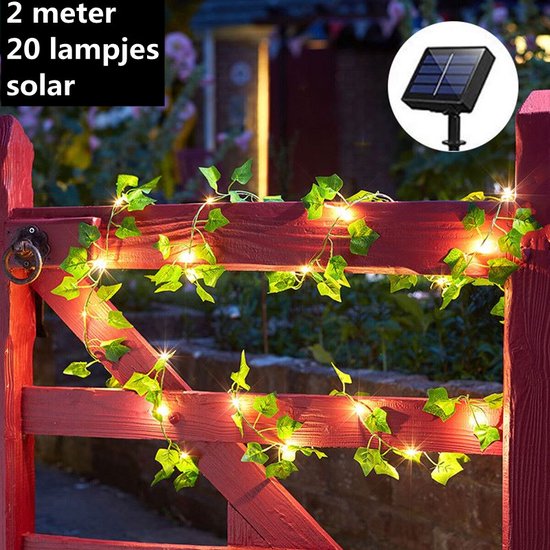 LED lamp op zonne solar lichtslinger esdoorn klimop 2 meter 20 lampjes