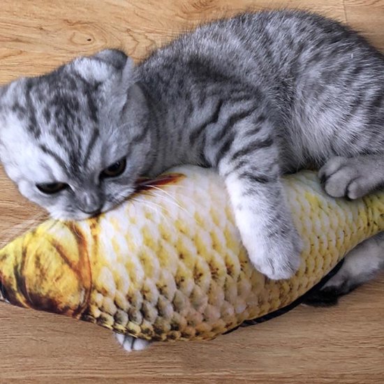 TDR - kattensnack visspeelgoed voor katten-4stuks Vis Speelgoed