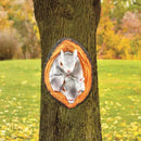 Realistisch Eekhoorn Tuindecoratie Beeldje van Hars 9x4x12.7