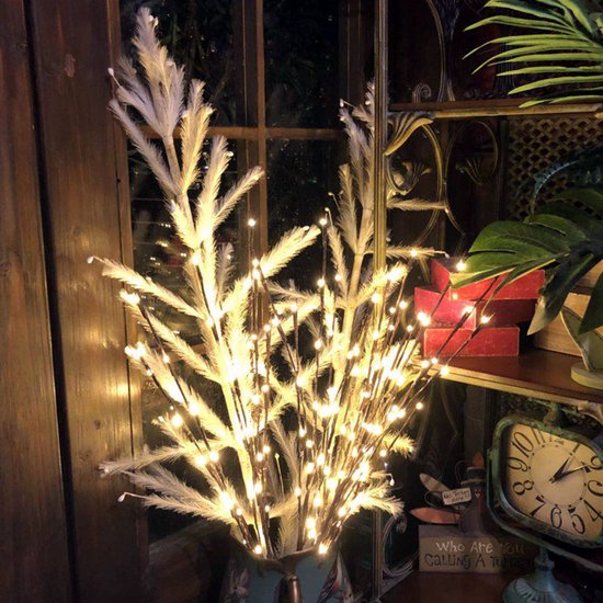 Elegante Wilgentaklamp met USB - 70 cm - 60 Warm Witte LED's
