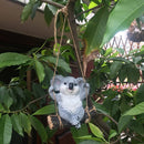 Schattige Koala Hars Hanger - Australisch Accent 21x12x23cm