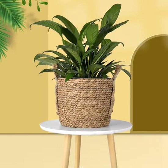 3-delige Natuurlijke Grasvezel Plantmanden Set - Stijlvolle Plantenhouders met Handgreep-Verrijk je Ruimte met Natuurlijke Elegantie - Duurzaam, Veelzijdig en Milieuvriendelijk Design-bruin