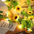 ProductAsset