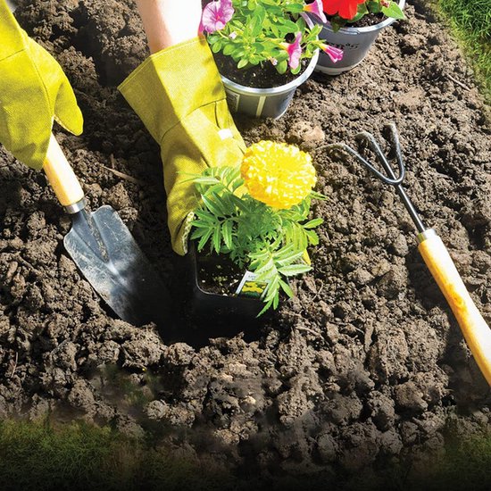 Complete 8-delige Tuingereedschapsset met handige draagtas voor Een Bloeiende Tuin-Duurzaam, Roestvrij Staal en Ultiem Gemak