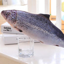 TDR - kattensnack visspeelgoed voor katten-4stuks Vis Speelg