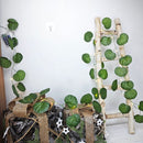 Begoniablad Lichtslinger - 20 LED - 2m - Batterij