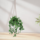 Kunst Hangplant Anthurium Blad – Realistische Groene Slinger