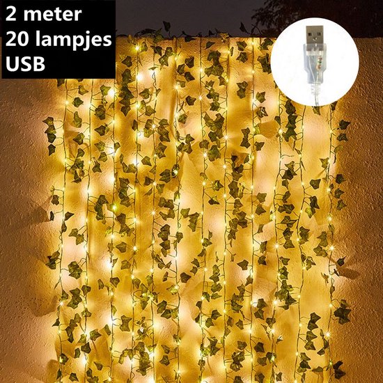 Xtraworks LED lichtsnoer esdoorn klimop 2m USB 20 lampjes