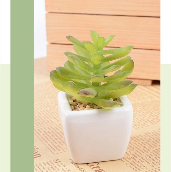 TDR -  6x kunst vetplantjes - Succulenten - Mini kamerplanten - in mooie gevormde witte keramieken potjes - ↑8 cm -Ø 6.6 cm