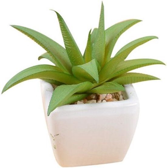 TDR -  6x kunst vetplantjes - Succulenten - Mini kamerplanten - in mooie gevormde witte keramieken potjes - ↑8 cm -Ø 6.6 cm