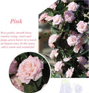 2 Stuks Klimop Slinger -simulatie rose vine roze