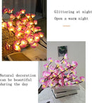 ProductAsset