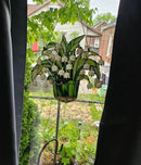 ProductAsset