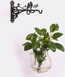 Metalen Vogelhaak Plantenhanger - Zwart