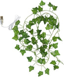 Xtraworks -led lichtsnoer esdoorn klimop slinger werkt op USB- 2meter 20 lampjes