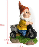 Natuurlijke Vreugde Kabouter op Driewieler Vogelvoederplek