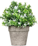 Kunstplant Mirte – Decoratieve Nepplant in Pot – 20cm Hoog –