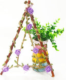 ProductAsset