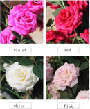 ProductAsset